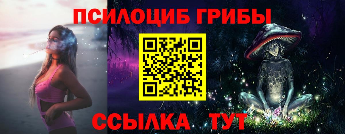 Галлюциногенные грибы Psilocybine cubensis Костомукша